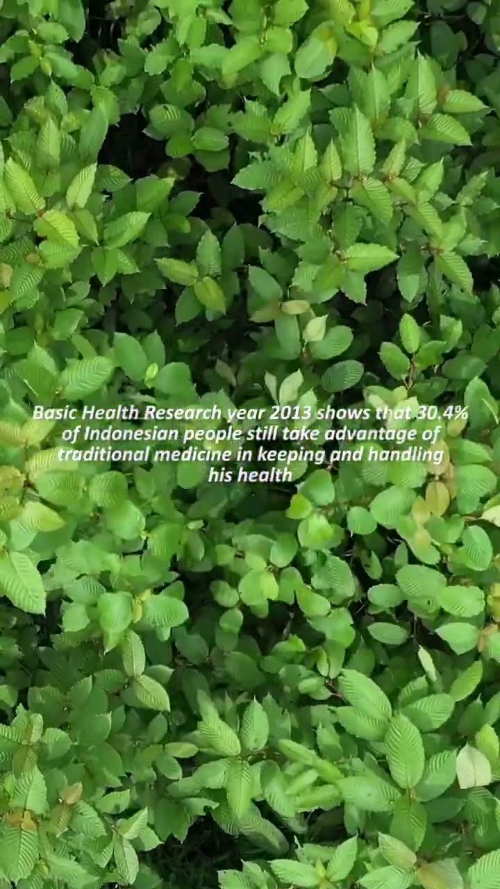 masterbotanical.com